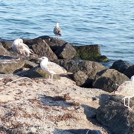 Apartament Im Zentrum *